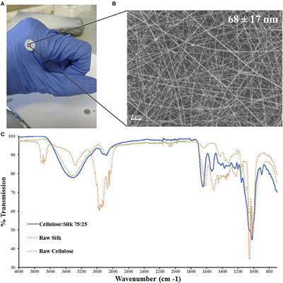 Chondroinduction of Mesenchymal Stem Cells on Cellulose-Silk Composite Nanofibrous Substrates: The Role of Substrate Elasticity